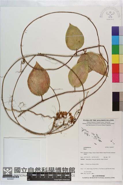 登錄號:S200957藏品圖，第1張