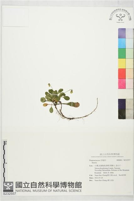 登錄號:S232557藏品圖，第1張
