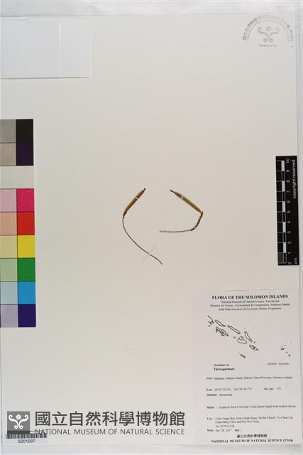 登錄號:S201097藏品圖，第1張