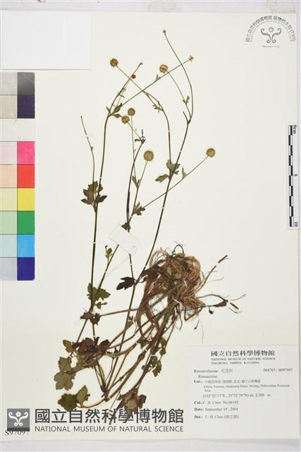 登錄號:S097097藏品圖，第1張