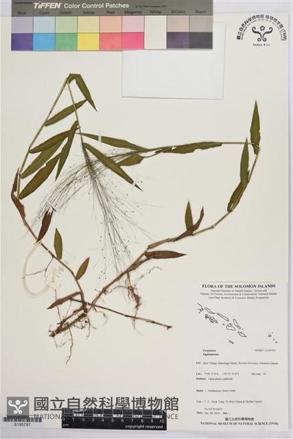 登錄號:S195797藏品圖，第1張