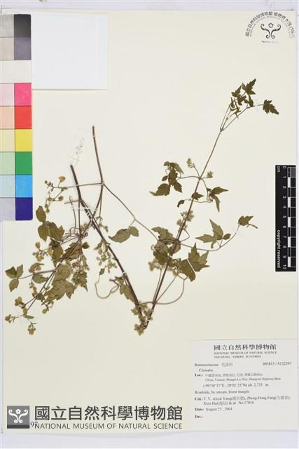 登錄號:S132297藏品圖，第1張