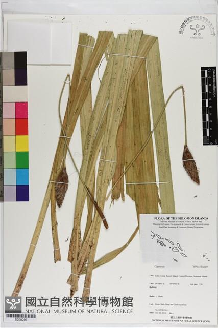 登錄號:S200297藏品圖，第1張