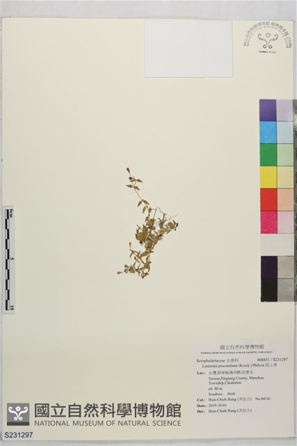 陌上草藏品圖，第1張