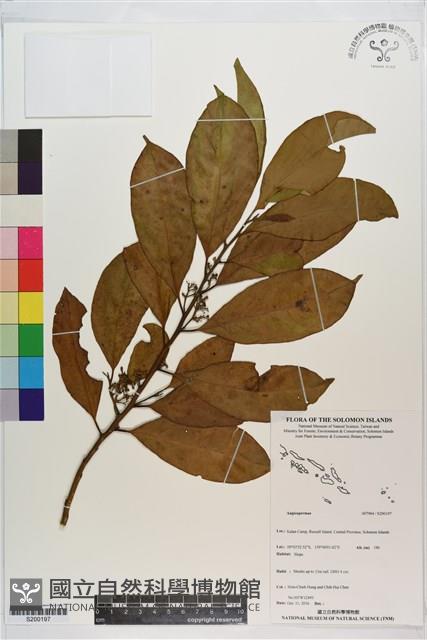 登錄號:S200197藏品圖，第1張