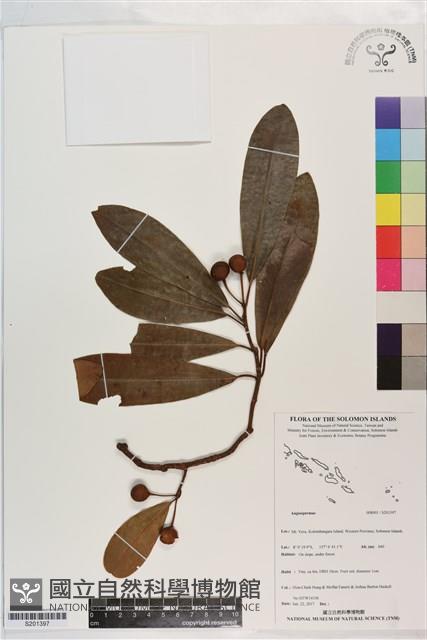 登錄號:S201397藏品圖，第1張