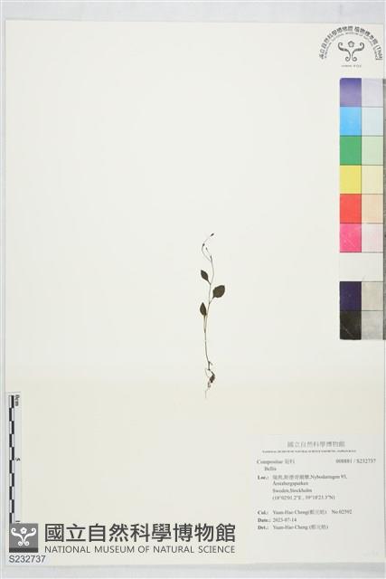 登錄號:S232737藏品圖，第1張