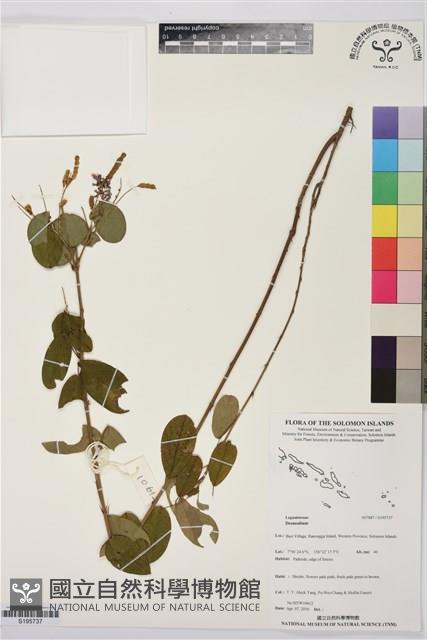 登錄號:S195737藏品圖，第1張