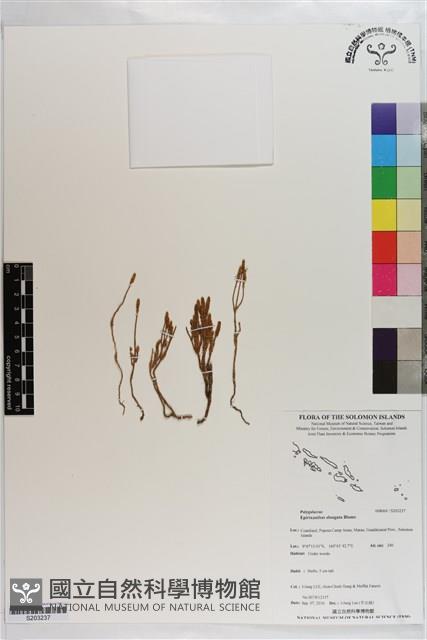 登錄號:S203237藏品圖，第1張