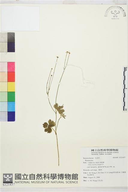 登錄號:S121437藏品圖，第1張