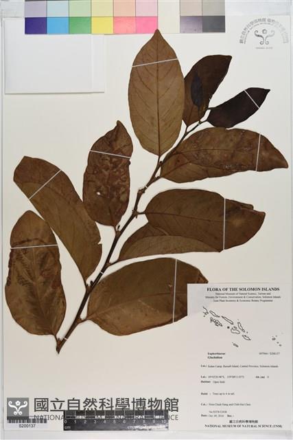 登錄號:S200137藏品圖，第1張