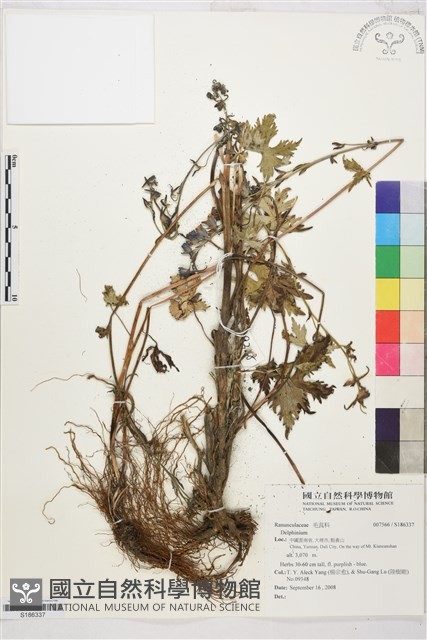 登錄號:S186337藏品圖，第1張
