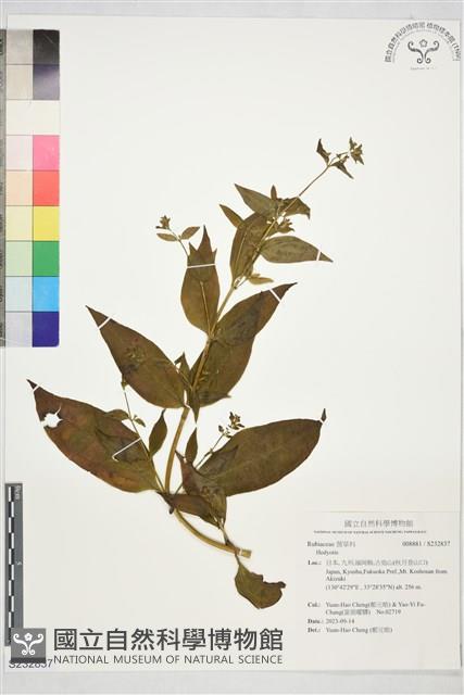 登錄號:S232837藏品圖，第1張