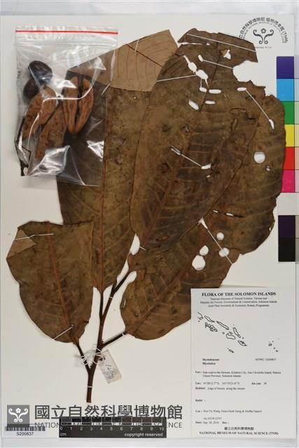 登錄號:S200837藏品圖，第1張