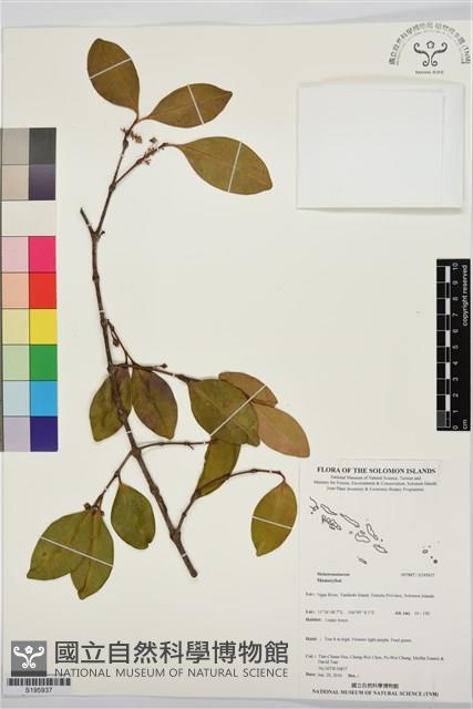 登錄號:S195937藏品圖，第1張