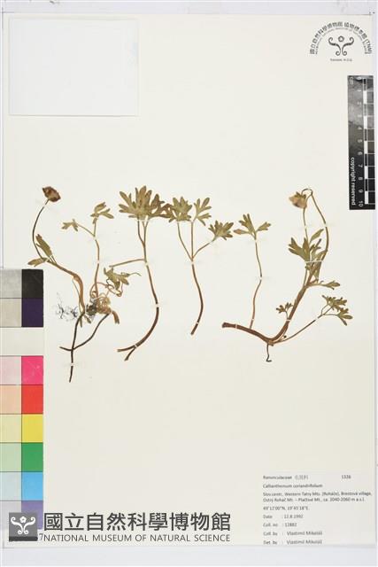 登錄號:S178537藏品圖，第1張