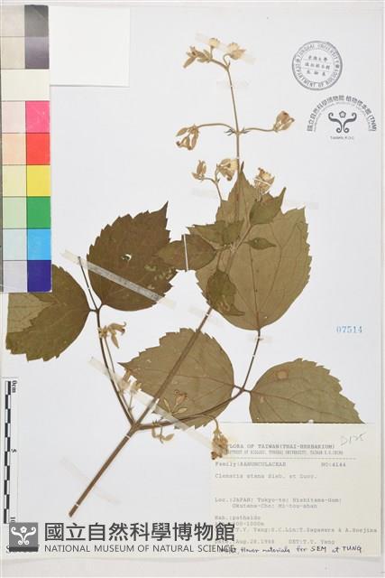 登錄號:S067537藏品圖，第1張