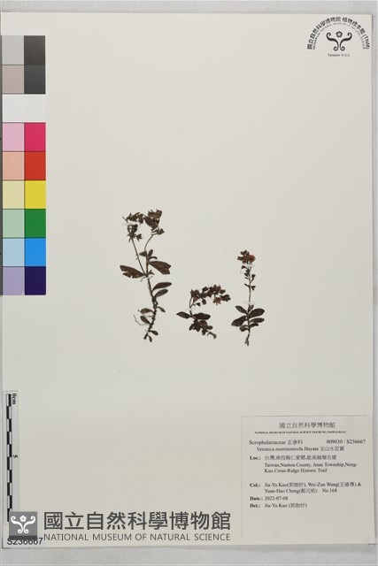 玉山水苦賈藏品圖，第1張
