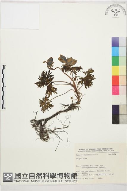 登錄號:S031667藏品圖，第1張