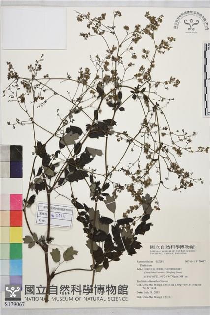 登錄號:S179067藏品圖，第1張