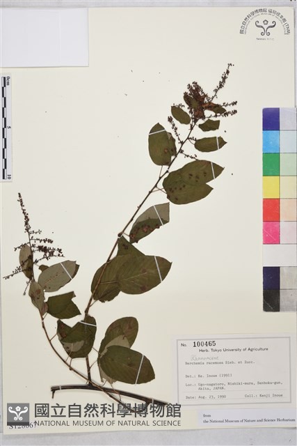 登錄號:S128067藏品圖，第1張