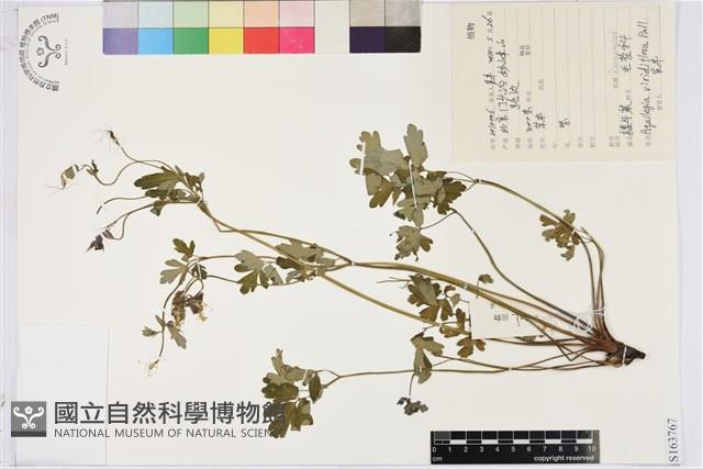 登錄號:S163767藏品圖，第1張