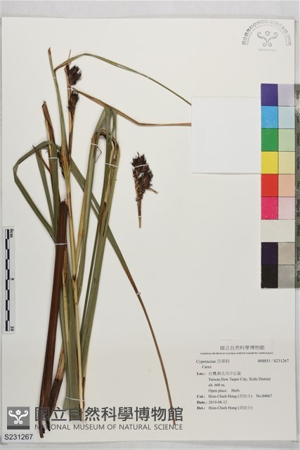 登錄號:S231267藏品圖，第1張