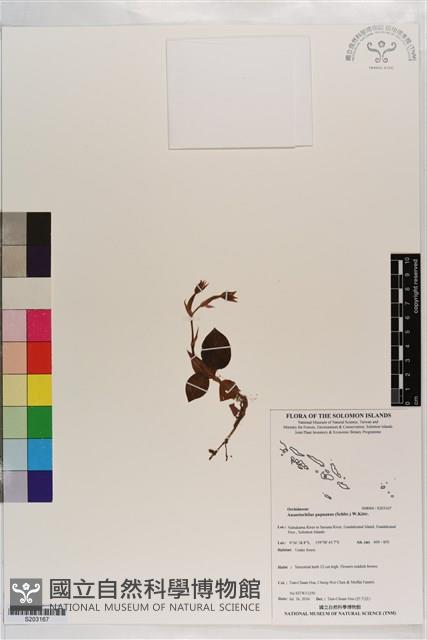 登錄號:S203167藏品圖，第1張