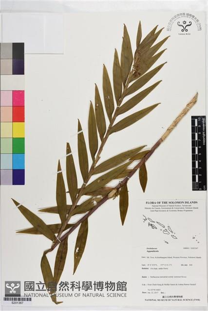 登錄號:S201367藏品圖，第1張