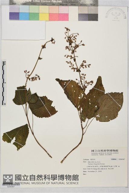 登錄號:S204367藏品圖，第1張