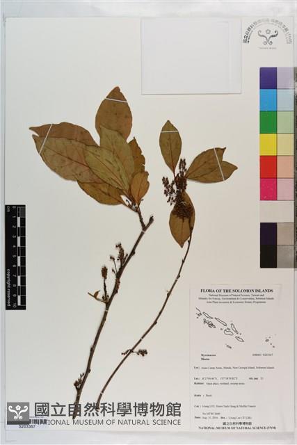 登錄號:S203367藏品圖，第1張