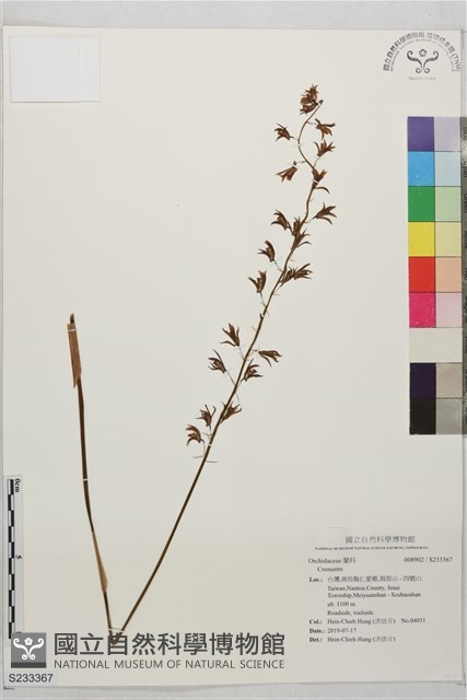 登錄號:S233367藏品圖，第1張