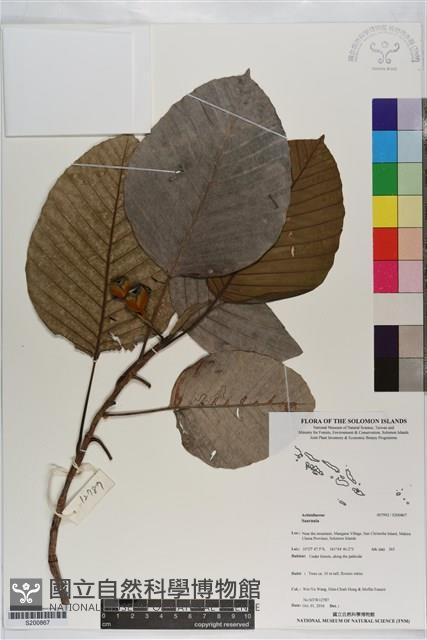 登錄號:S200867藏品圖，第1張