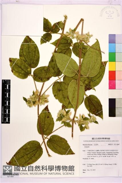 登錄號:S211867藏品圖，第1張