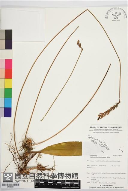 登錄號:S195967藏品圖，第1張