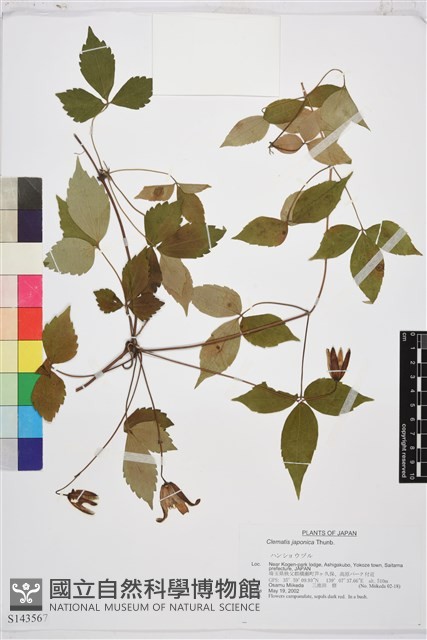 登錄號:S143567藏品圖，第1張