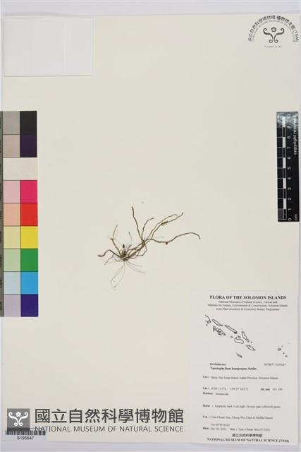 登錄號:S195647藏品圖，第1張