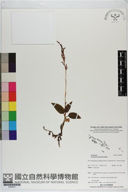 登錄號:S200047藏品圖，第1張