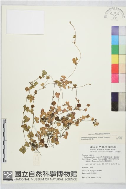登錄號:S078047藏品圖，第2張