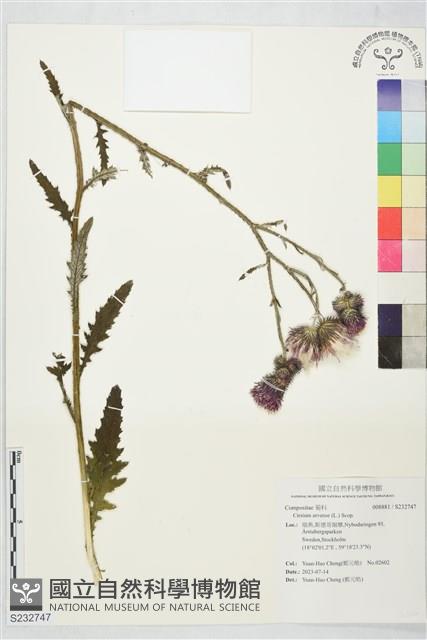 登錄號:S232747藏品圖，第1張