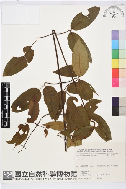 登錄號:S025747藏品圖，第1張