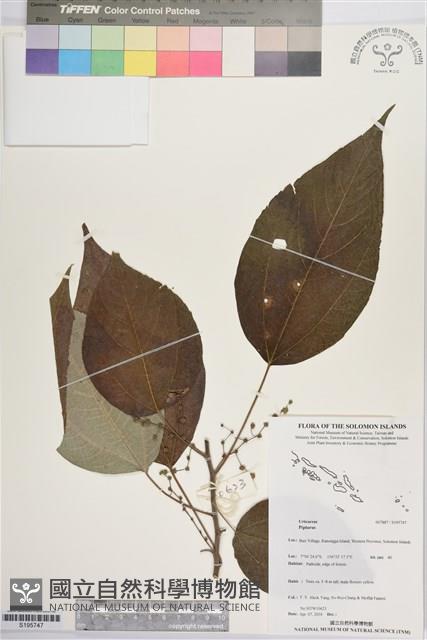 登錄號:S195747藏品圖，第1張