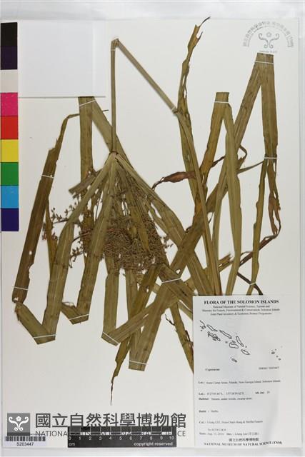 登錄號:S203447藏品圖，第1張