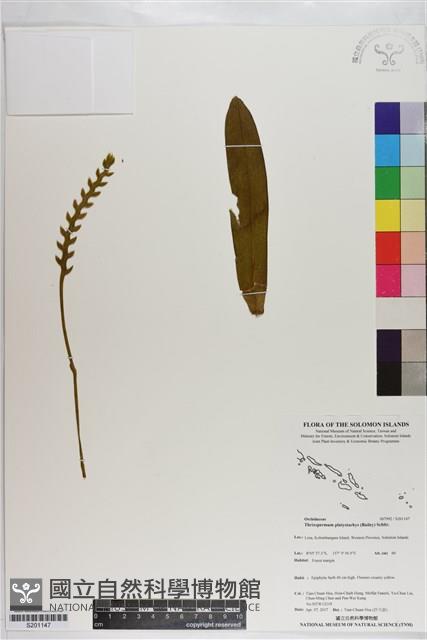 登錄號:S201147藏品圖，第1張