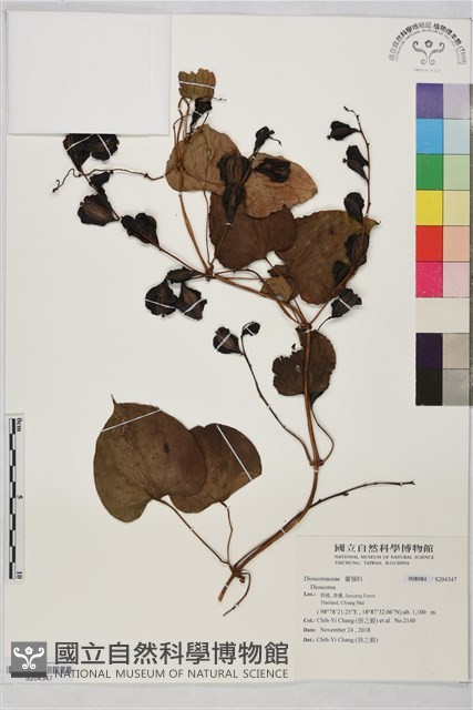 登錄號:S204347藏品圖，第1張