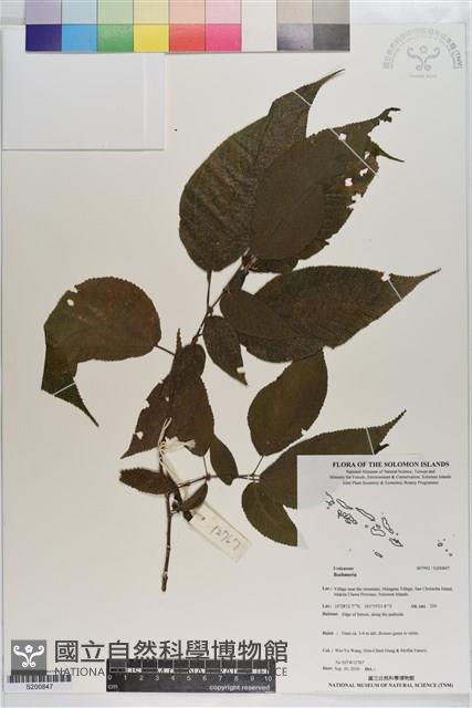 登錄號:S200847藏品圖，第1張