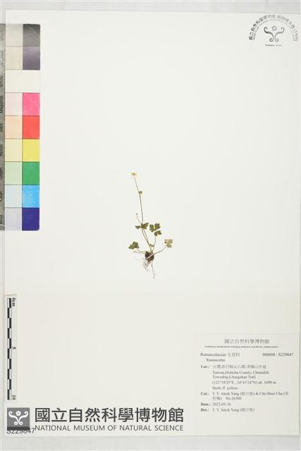 登錄號:S229847藏品圖，第1張