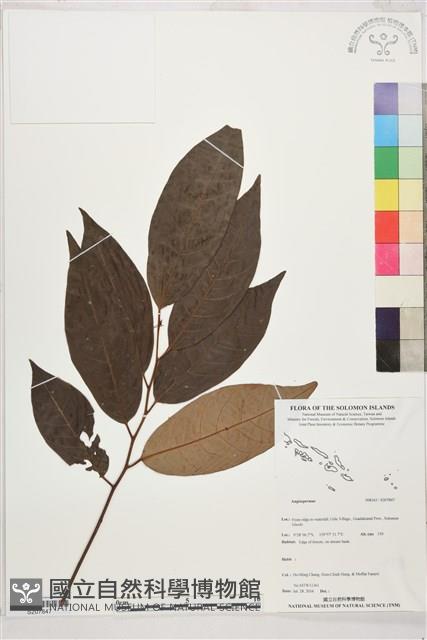 登錄號:S207847藏品圖，第1張