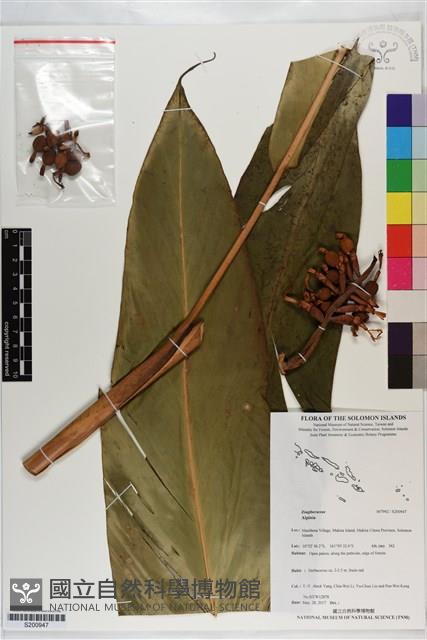 登錄號:S200947藏品圖，第1張