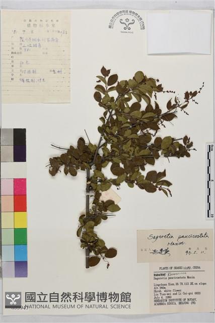 對節木藏品圖，第1張